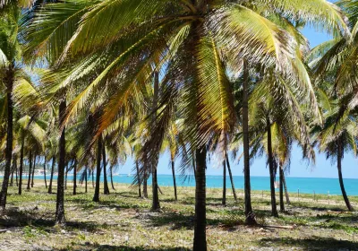 Porto De Galinhas