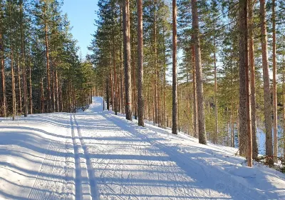 Binnensavo