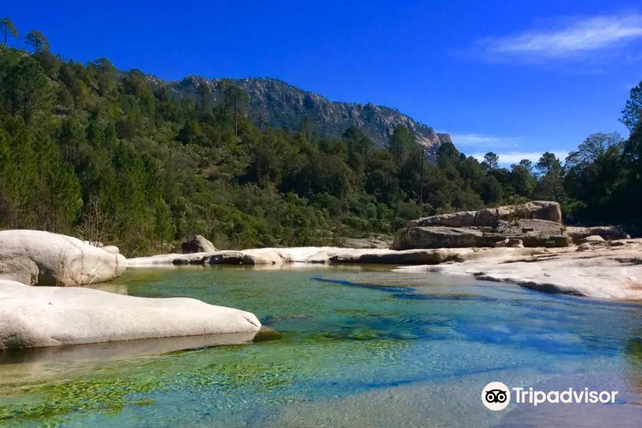 Piscines Naturelles de Cavu