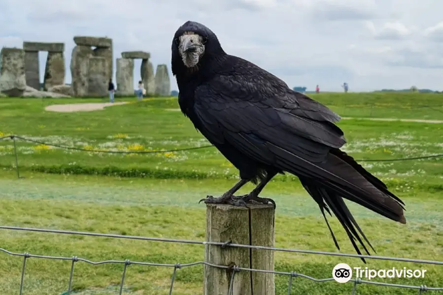 Stonehenge Public Access Footpath