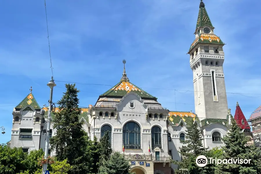 Târgu Mureș City Hall