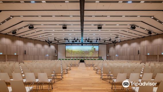 哈爾施塔特湖+哈爾施塔特觀景點（奧地利）+奧地利維也納一日遊