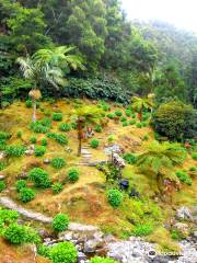 Parque Natural da Ribeira dos Caldeiroes