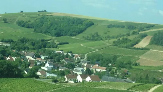 Vinitour Centre-Loire