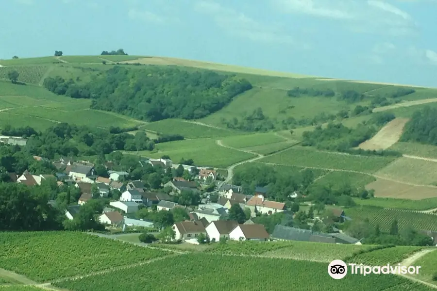 Vinitour Centre-Loire