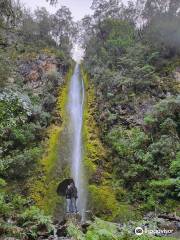 Dog Stream Waterfall