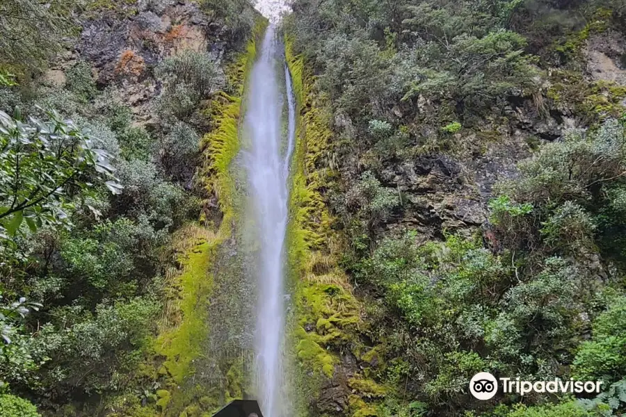 Dog Stream Waterfall