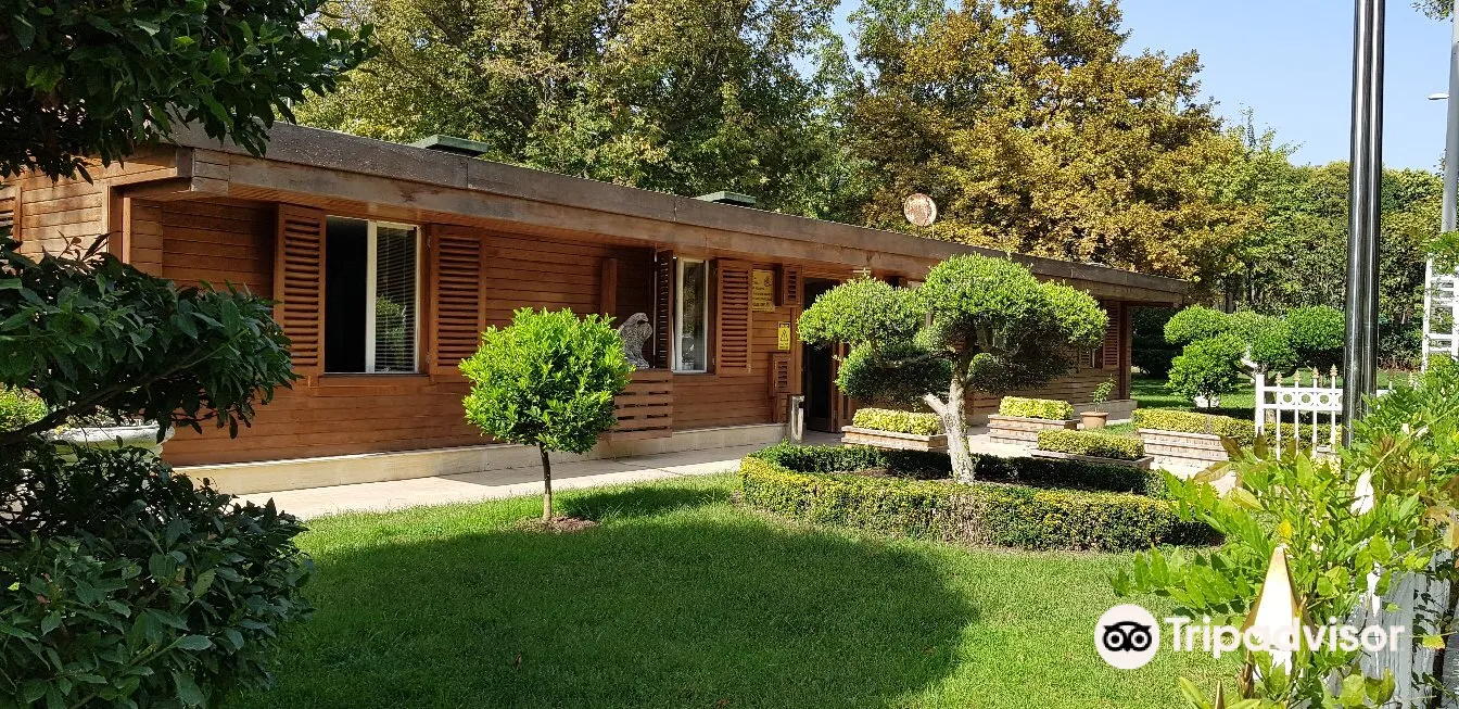 3_Florya Atatürk Forest