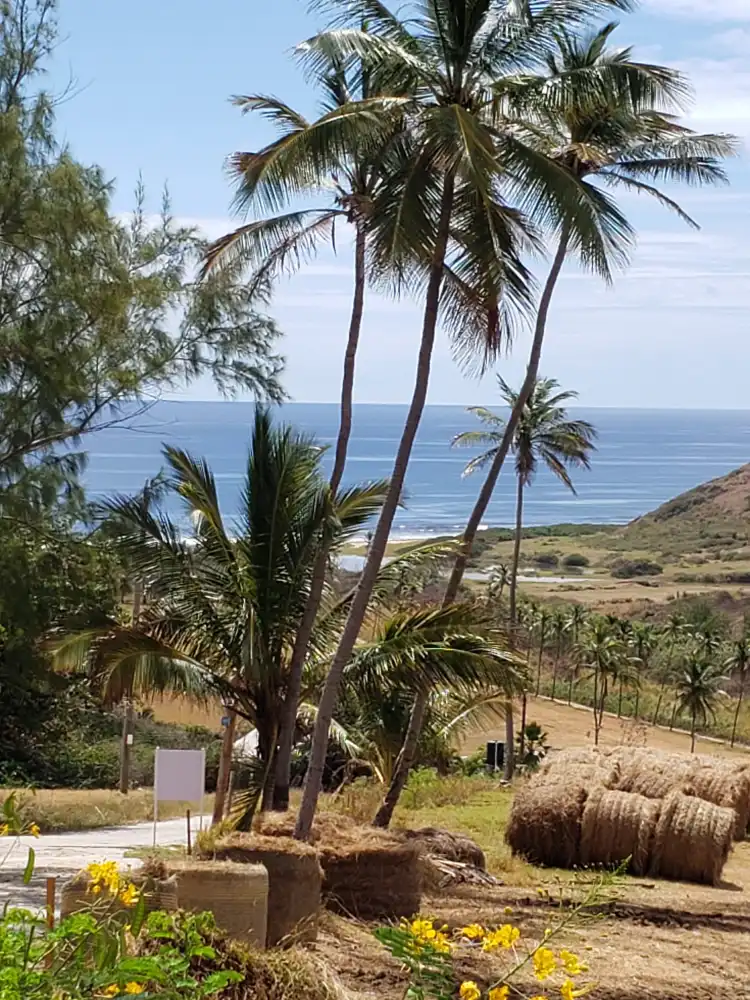 Hotels near Morgan Lewis Sugar Mill