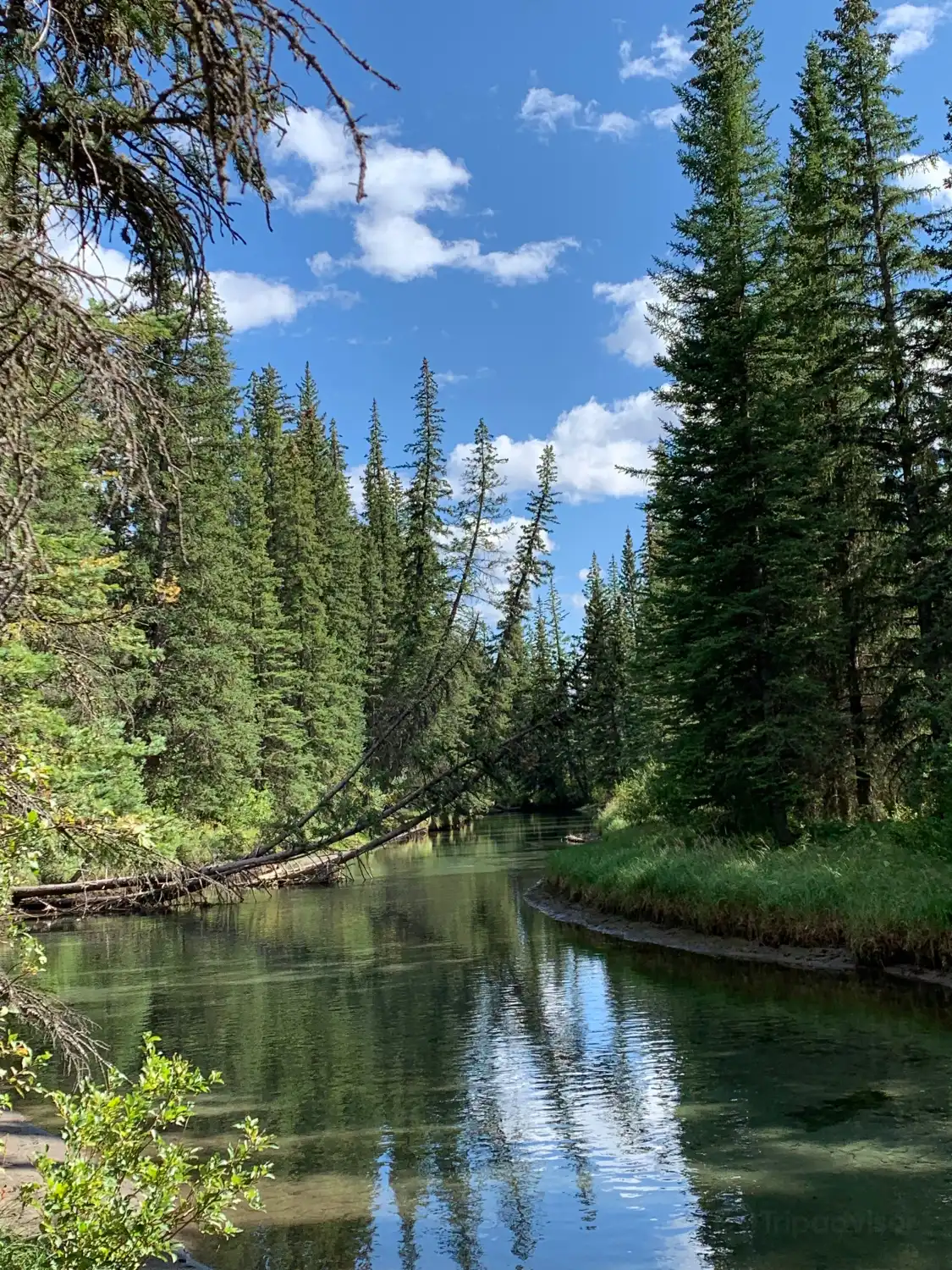 Hotels near Banff Legacy Trail