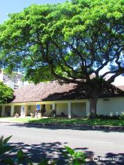 Honolulu Museum of Art (HoMA)