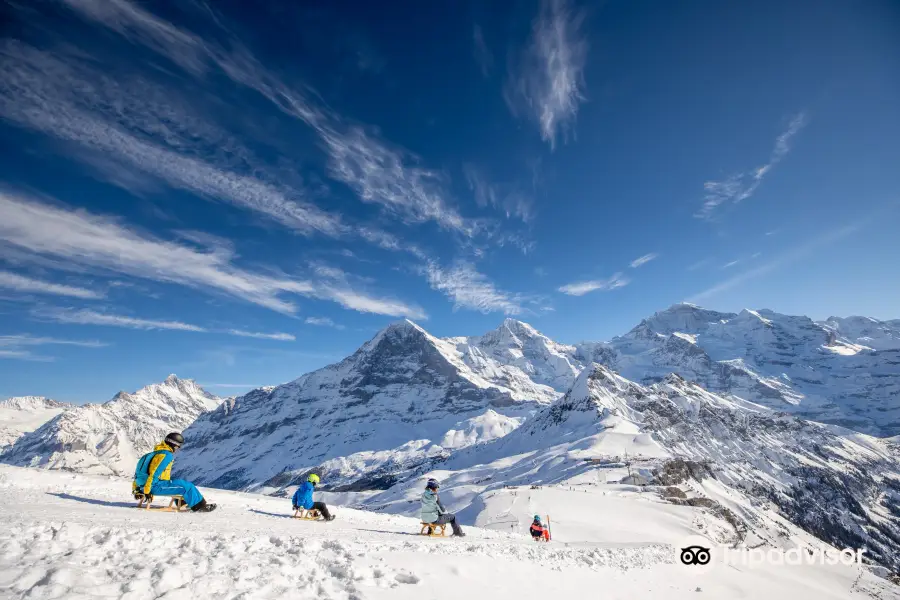 Wengen Mannlichen Aerial Cableway