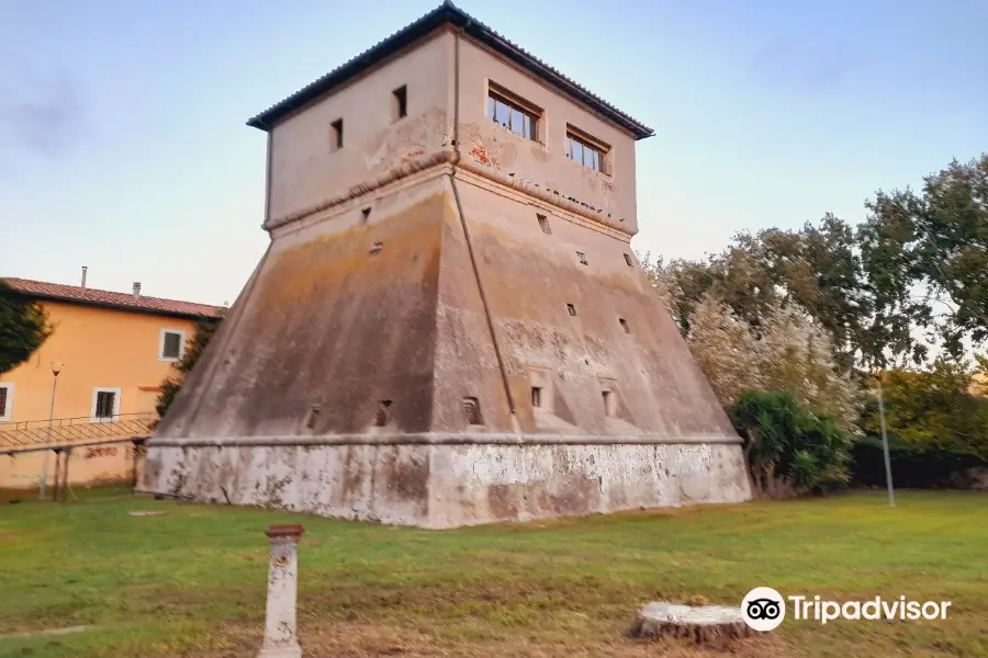 Torre di Vada