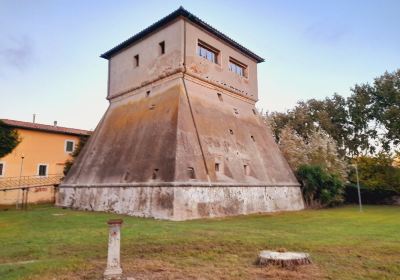 Torre di Vada