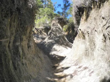 San Jose de las Matas