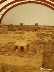 Viminacium Archaeological Park