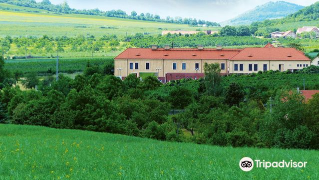 Johann W - Castle winery Třebívlice