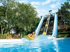 Adventure Island