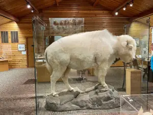 North American Bison Discovery Center