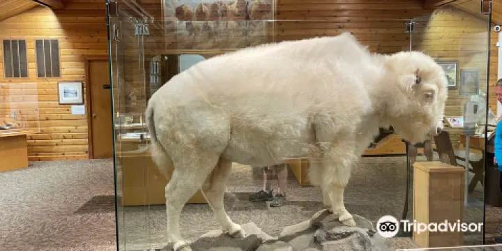 National Buffalo Museum