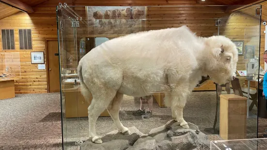 National Buffalo Museum