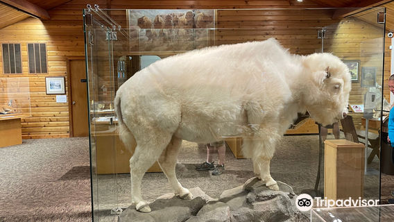 North American Bison Discovery Center