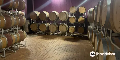 Podere Sapaio