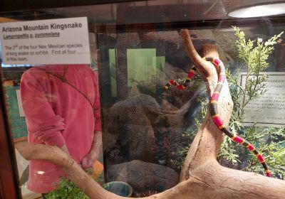 American International Rattlesnake Museum