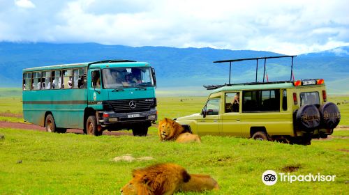 Ngorongoro Crater