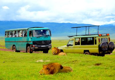 Cratère du Ngorongoro