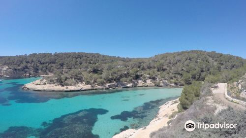 Playa Portals Vells