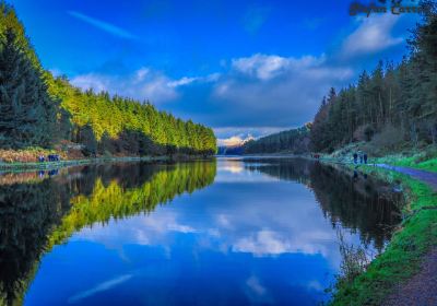 Turton and Entwistle Reservoir