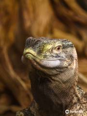 Tropicario Tropical Indoor Zoo