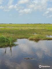 San Bernard National Wildlife Refuge