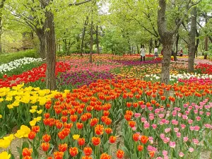 首爾林公園