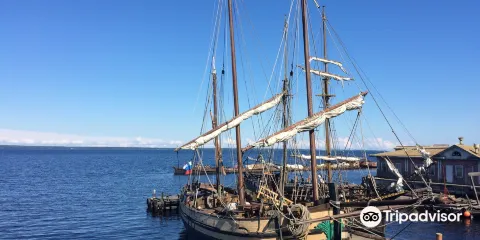 Sea Museum of The Polar Odysseus Club