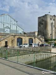 Musée du Donjon