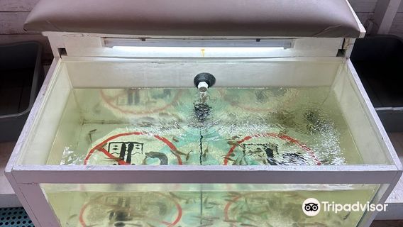 Ocean Adventures Punta Cana