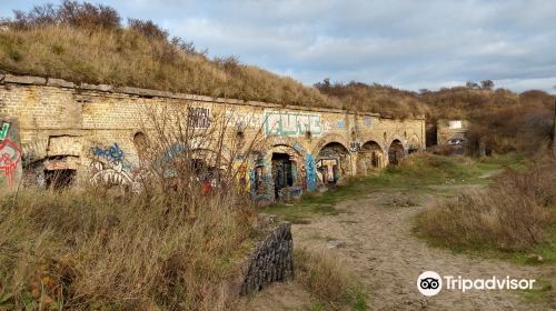 Reserve Naturelle Dune Dewulf