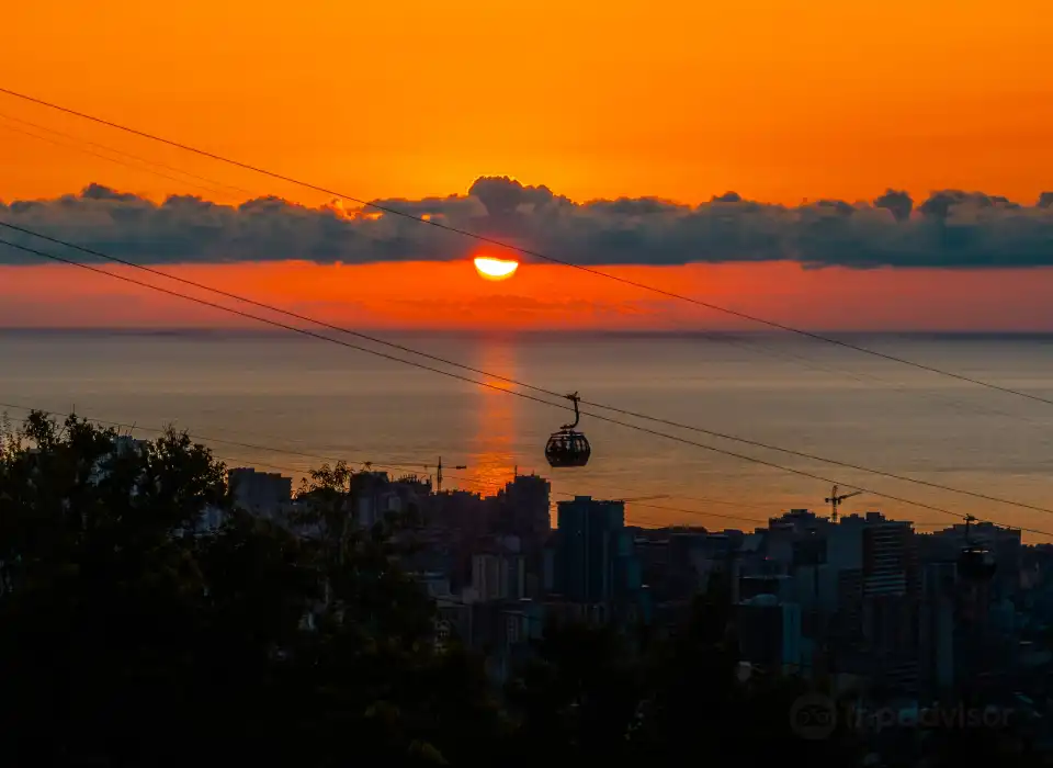 3_Argo Cable Car
