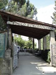 Parco Preistorico