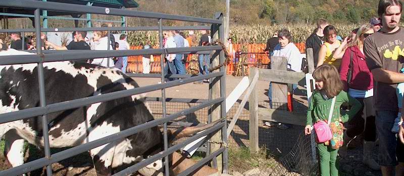 Iron Kettle Farm