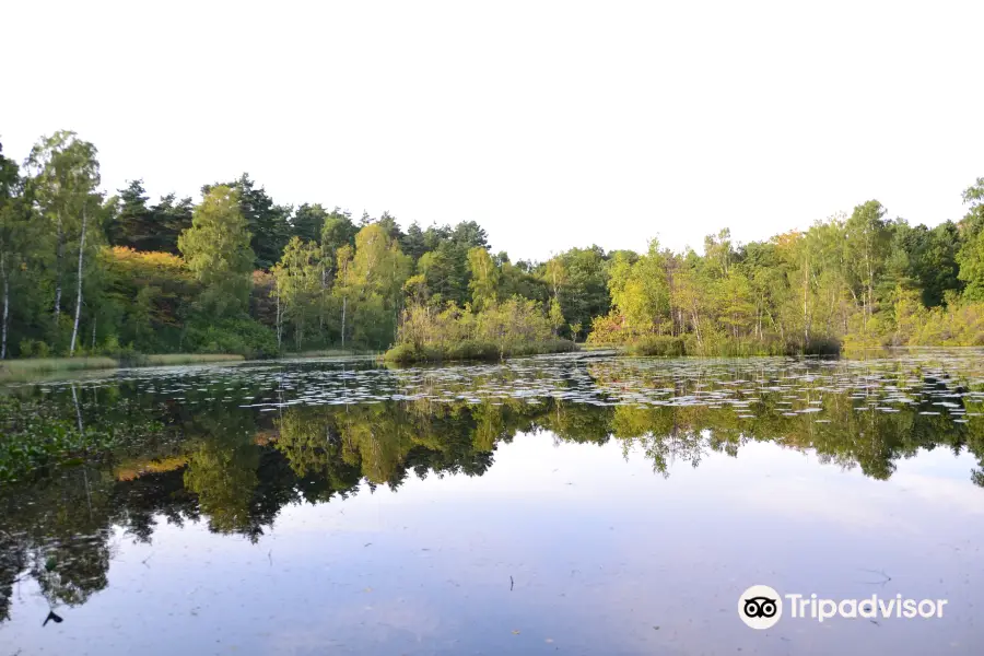 Anggardsbergens Naturreservat