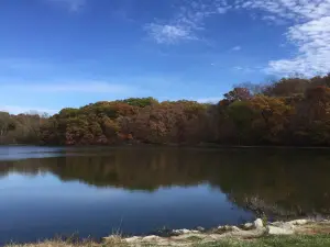 ウォーレス州立公園