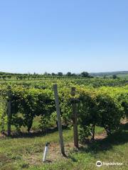 Soaring Wings Vineyard and Brewing