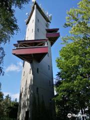 Aussichtsturm am Rödlasberg