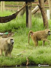 Parque Zoologico