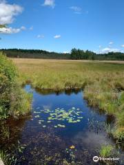 Cheshire Recreational Rail Trail