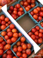 Dutton Berry Farmstand