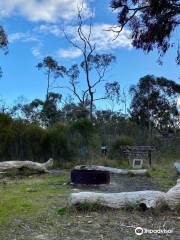 Billyho Bushwalk